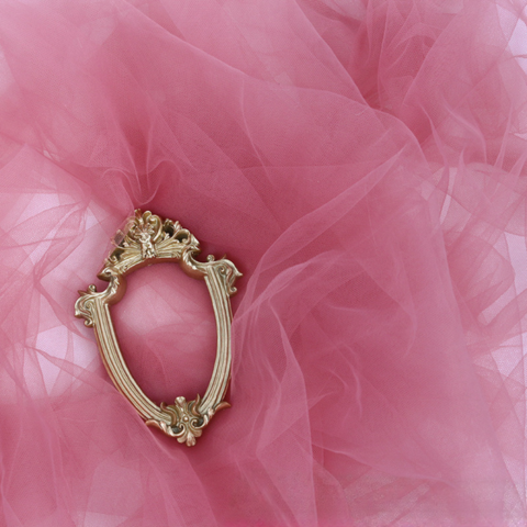 Dusty rose sheer tulle photography backdrop with a decorative frame