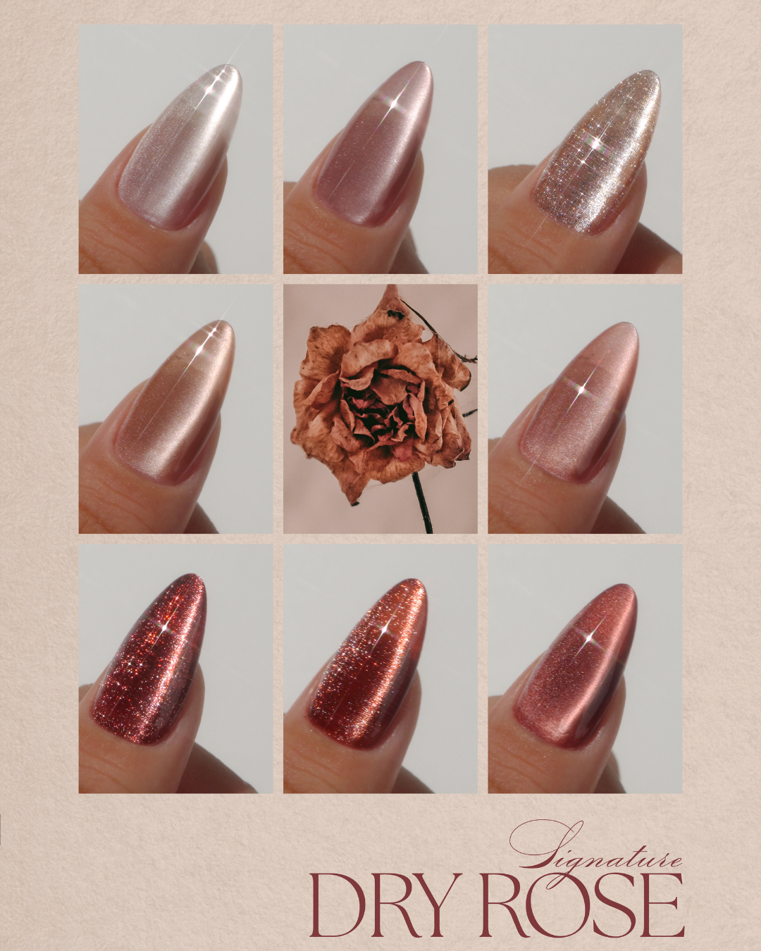 DGEL Signature Dry Rose Collection Color Gel Nail
