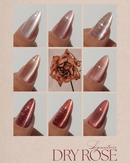 DGEL Signature Dry Rose Collection Color Gel Nail