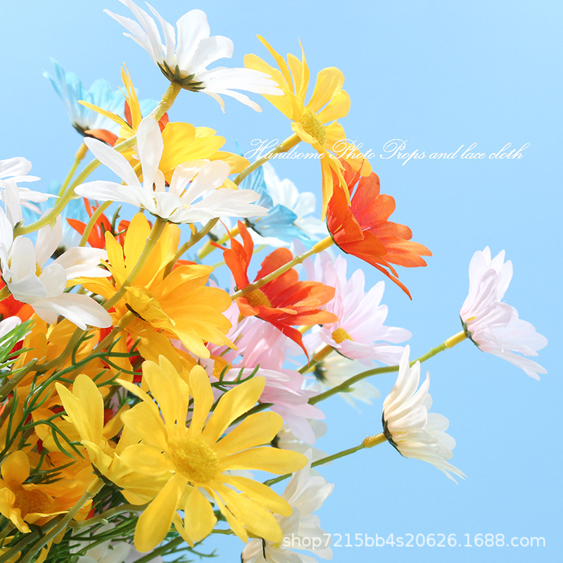 Mixed-colour artificial daisy flower sprays against a blue photography backdrop