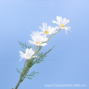 Single white artificial daisy flower spray with green foliage