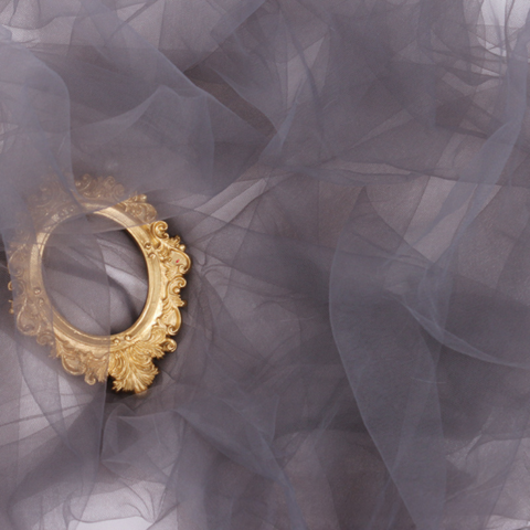 Grey sheer tulle photography backdrop with a decorative gold frame