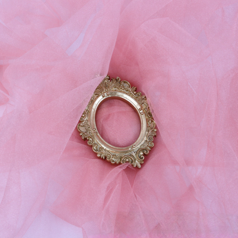 Pink sheer tulle photography backdrop with a decorative gold frame