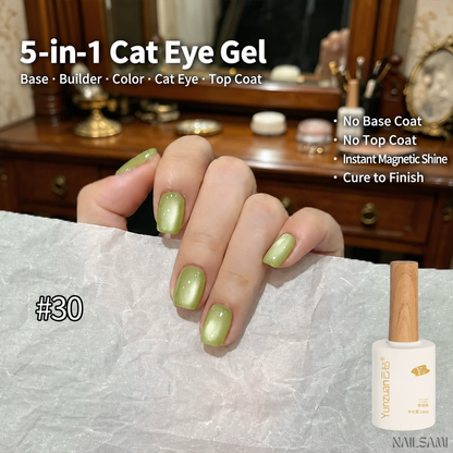 Yunzuan 5-in-1 cat eye gel polish shade Y30