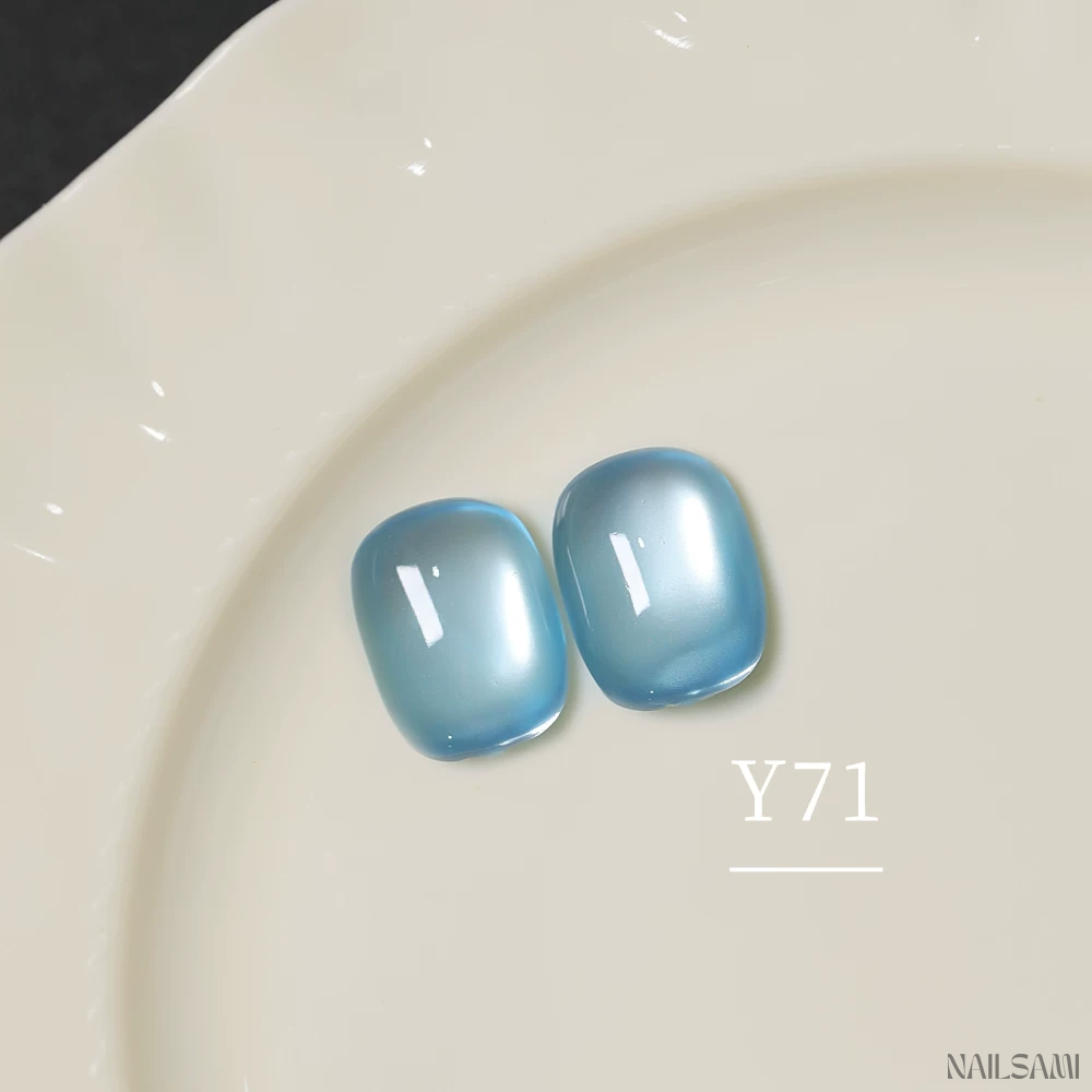 Yunzuan 5-in-1 cat eye gel polish shade Y71